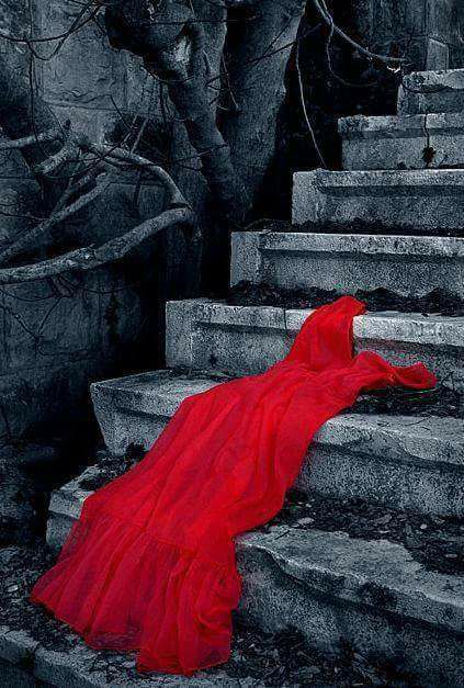 edebigardrop 16711483 1475583325785520 6148871650928172696 n